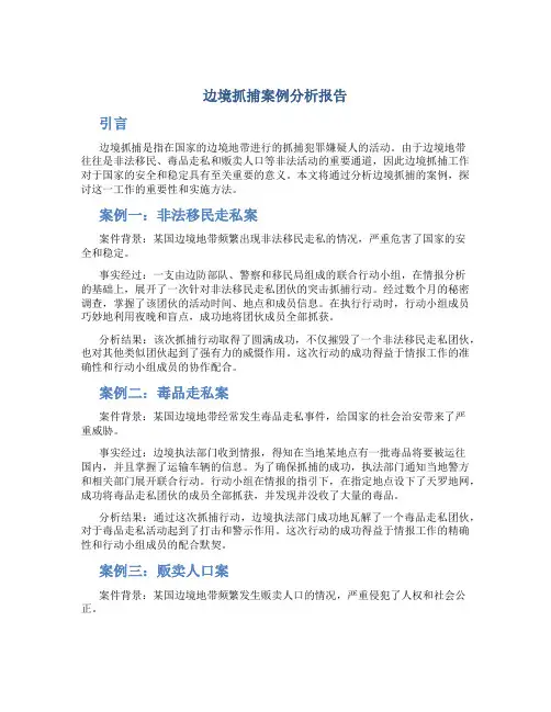边境抓捕案例分析报告
