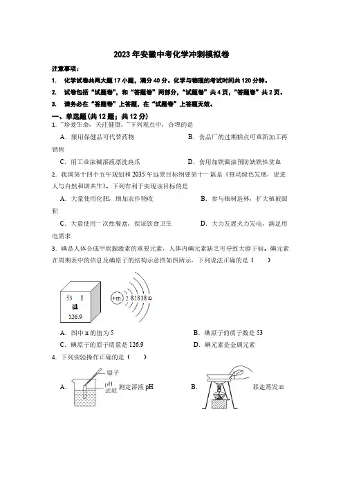 2023年安徽省中考化学冲刺模拟卷(含解析)