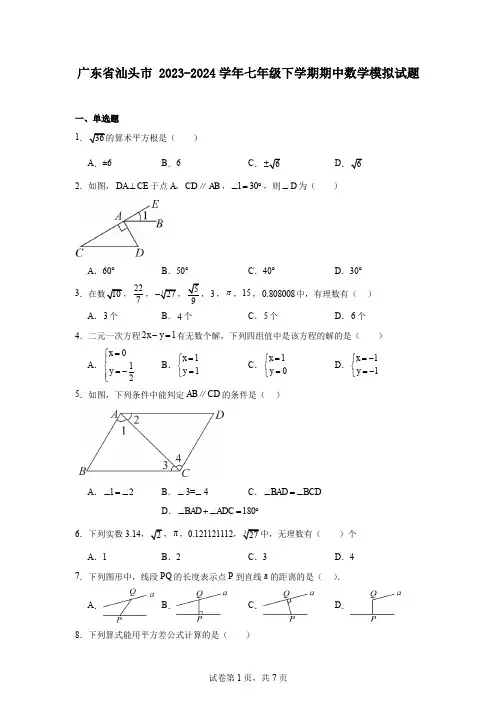 广东省汕头市2023-2024学年七年级下学期期中数学模拟试题