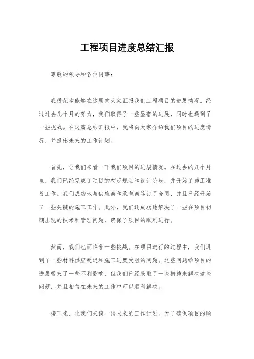工程项目进度总结汇报