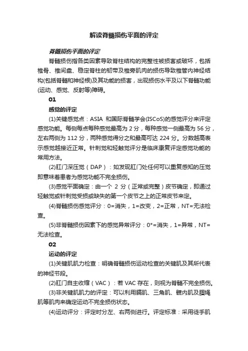 解读脊髓损伤平面的评定
