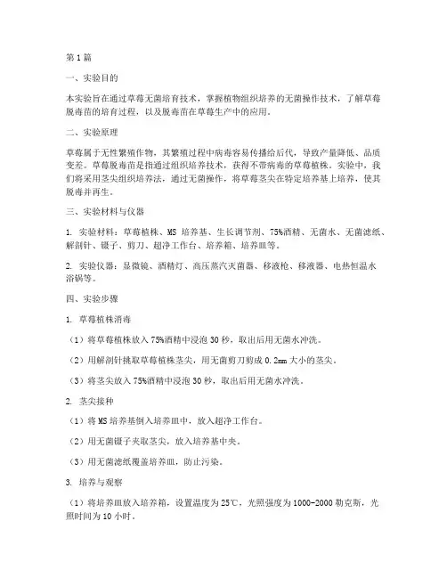 草莓无菌培育实验报告(3篇)