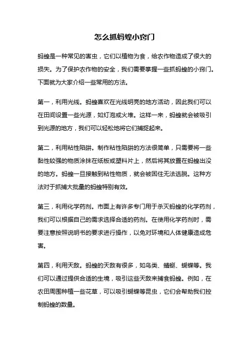 怎么抓蚂蝗小窍门