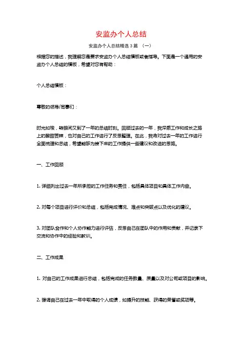 安监办个人总结3篇