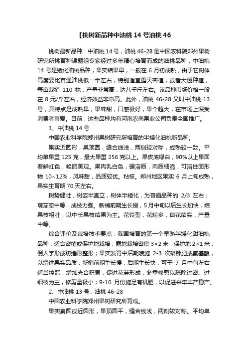 【桃树新品种中油桃14号油桃46