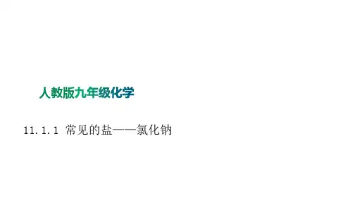 11.1.1生活中常见的盐——氯化钠课件-九年级化学人教版下册