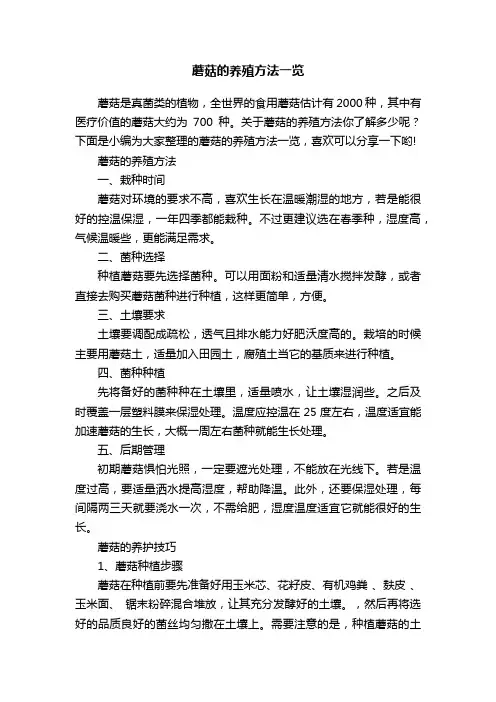 蘑菇的养殖方法一览