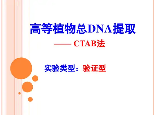 7植物基因组DNA提取-CTAB法
