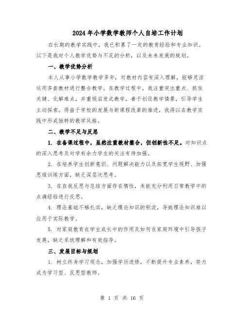 2024年小学数学教师个人自培工作计划(6篇)