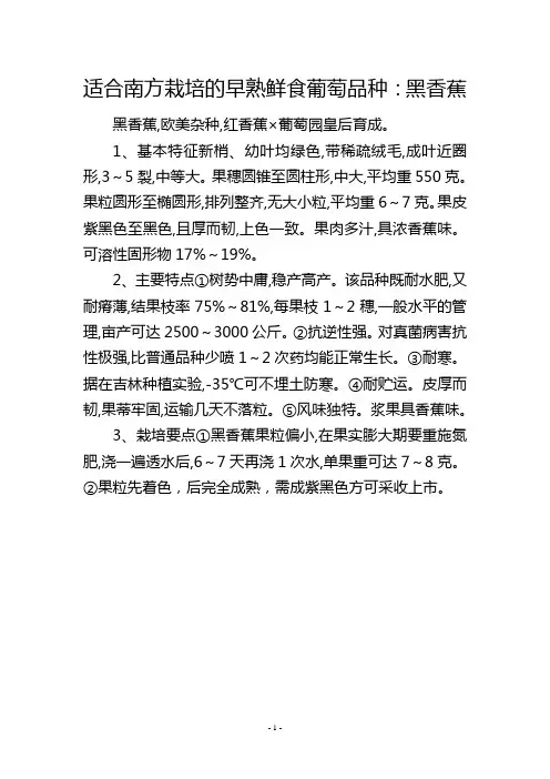 适合南方栽培的早熟鲜食葡萄品种：黑香蕉