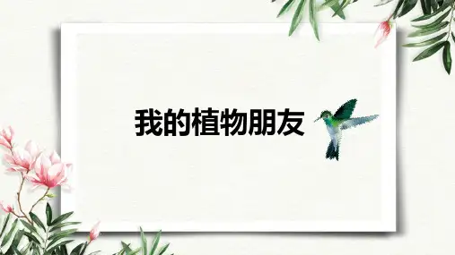 统编版语文三年级下册第一单元习作：我的植物朋友  课件(共32张PPT)