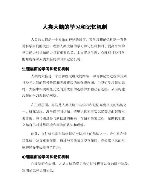 人类大脑的学习和记忆机制