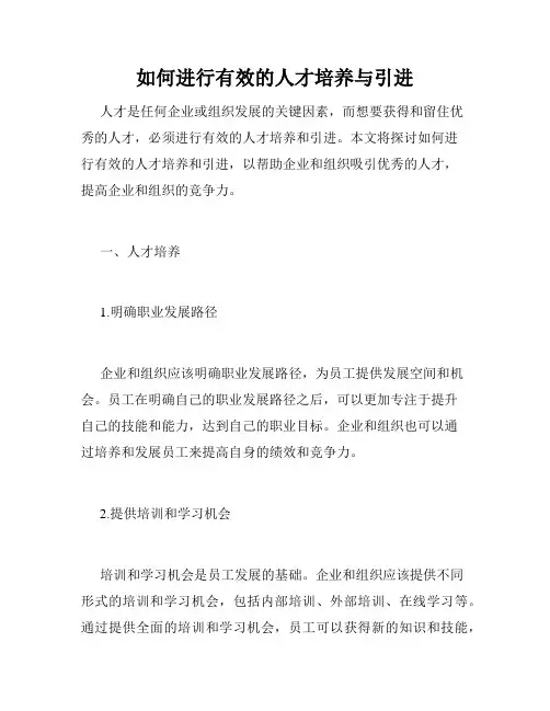 如何进行有效的人才培养与引进