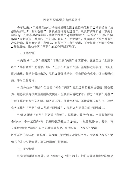 两新组织典型亮点经验做法