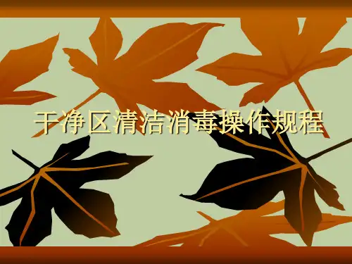 洁净区清洁消毒操作规程
