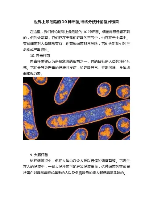 世界上最危险的10种细菌,结核分枝杆菌位居榜首