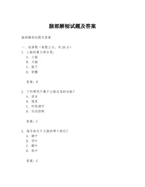 脑部解刨试题及答案