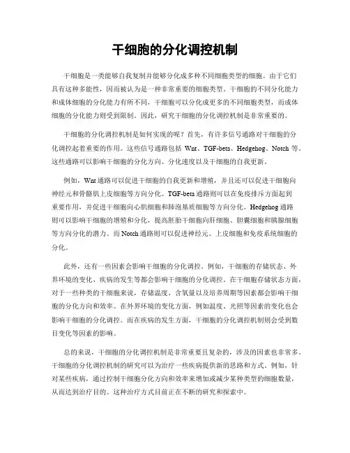 干细胞的分化调控机制