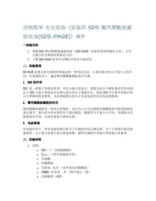 动物医学 生化实验《实验四  SDS–聚丙烯酰胺凝胶电泳(SDS–PAGE)》课件