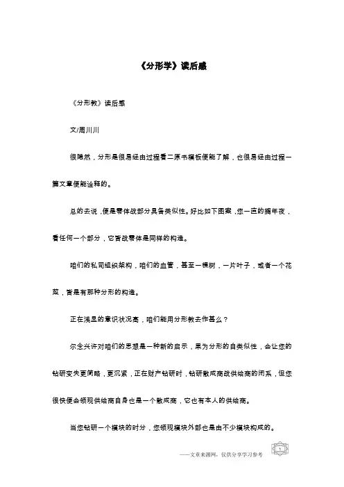 《分形学》读后感