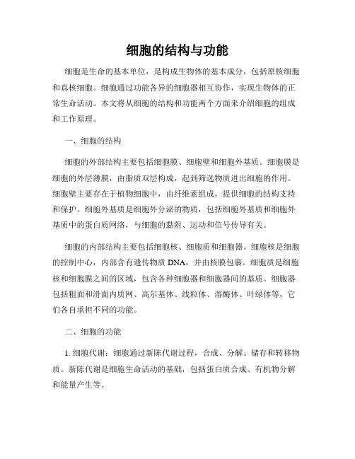 细胞的结构与功能