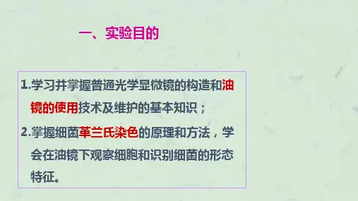 实验二显微镜油镜的使用细胞形态的观察及革兰氏染色课件