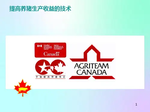 提高养猪生产收益的技术(PPT91页)