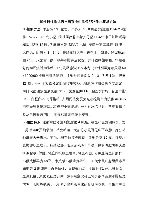 慢性移植物抗宿主病狼疮小鼠模型制作步骤及方法