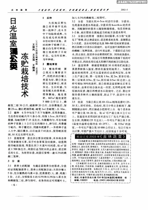 日光温室蒲公英冻贮栽培技术