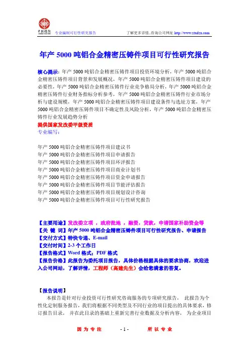 年产5000吨铝合金精密压铸件项目可行性研究报告