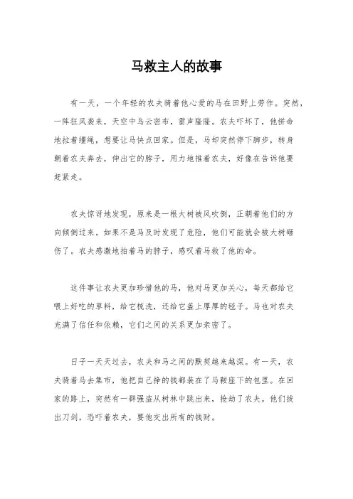 马救主人的故事