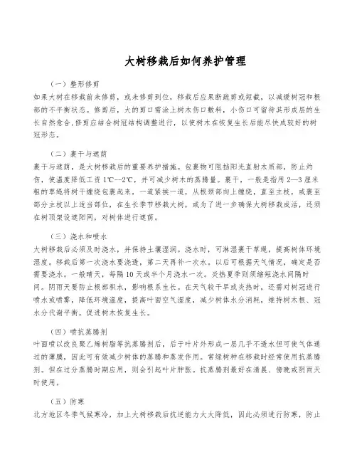 大树移栽后如何养护管理