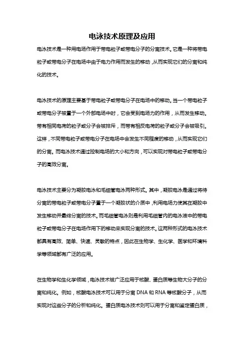 电泳技术原理及应用