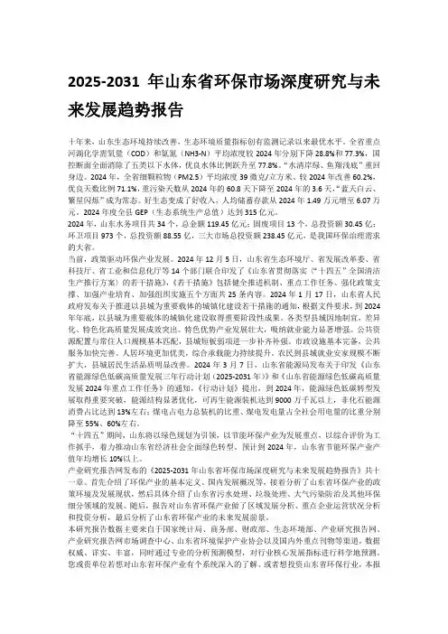 2025-2031年山东省环保市场深度研究与未来发展趋势报告