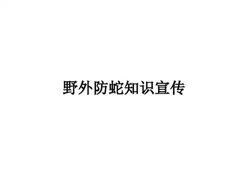 防蛇知识宣传