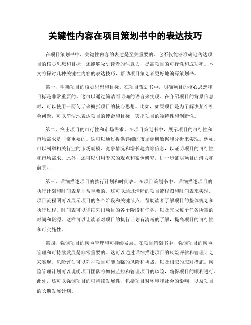 关键性内容在项目策划书中的表达技巧