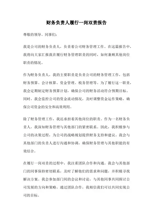财务负责人履行一岗双责报告