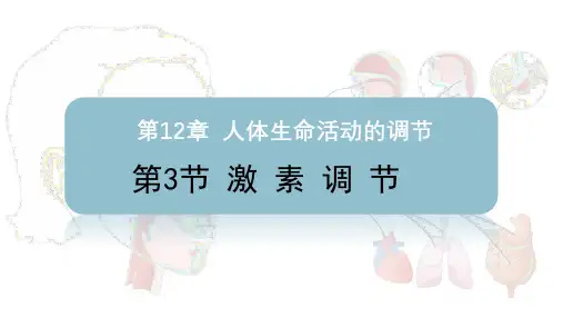 激素调节-七年级生物课件(北师大版七下)