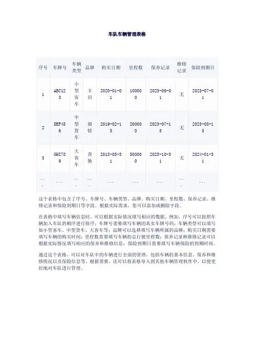 车队车辆管理表格