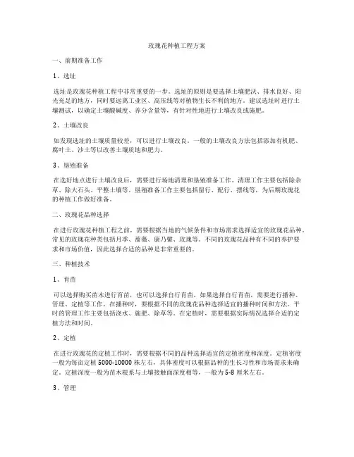 玫瑰花种植工程方案