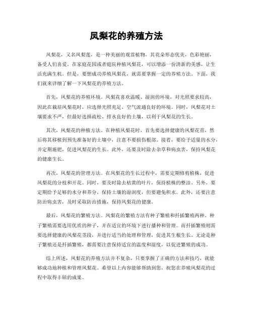 凤梨花的养殖方法