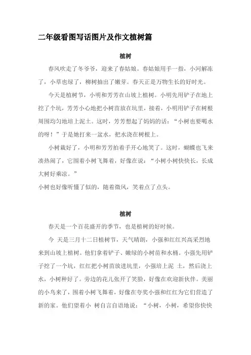 二年级语文看图写话(植树篇)