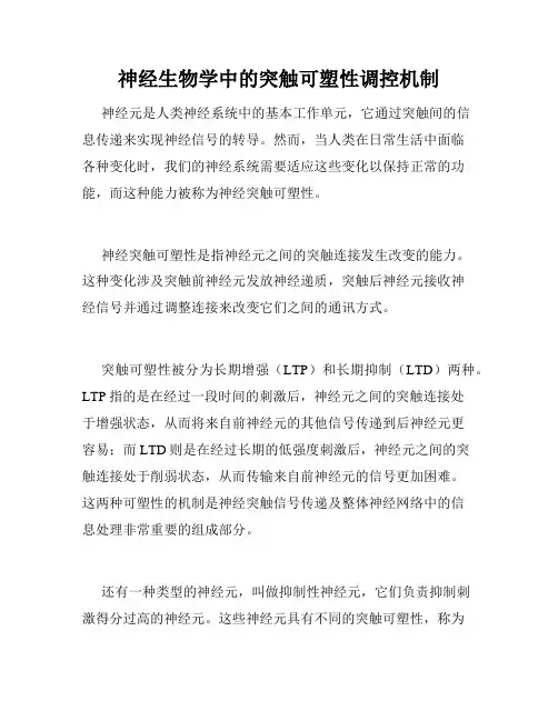 神经生物学中的突触可塑性调控机制