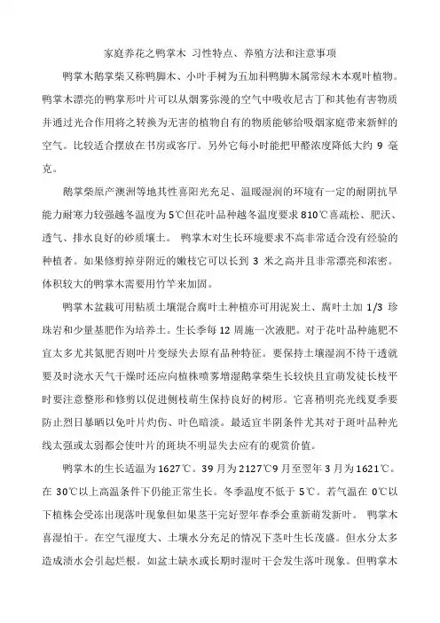 家庭养花之鸭掌木习性特点、养殖方法和注意事项
