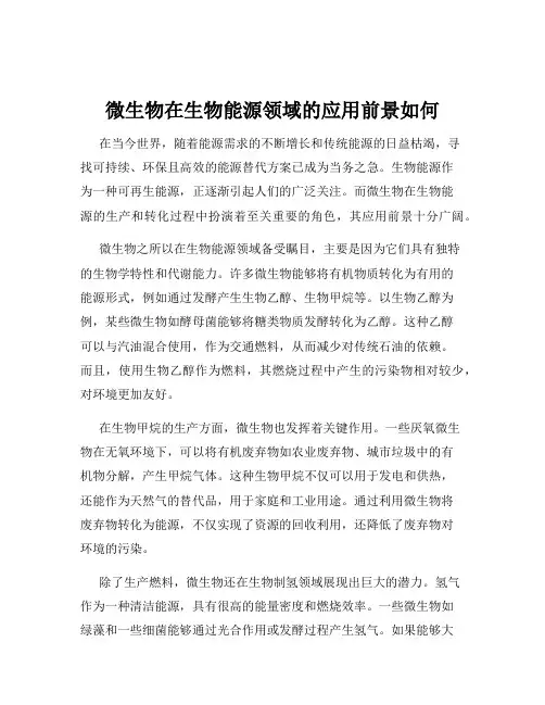 微生物在生物能源领域的应用前景如何