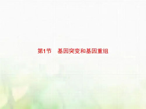 高中生物人教版必修2课件：第5章第1节 基因突变和基因重组