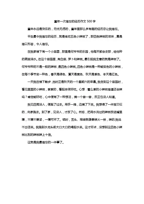 童年一次难忘的经历作文500字