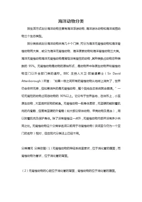 海洋动物分类