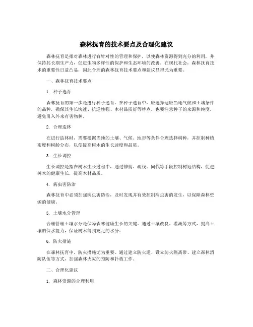 森林抚育的技术要点及合理化建议