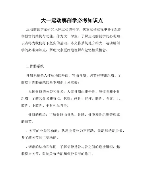 大一运动解剖学必考知识点